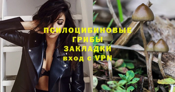 экстази Богородск