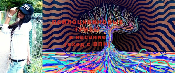 меф VHQ Богданович